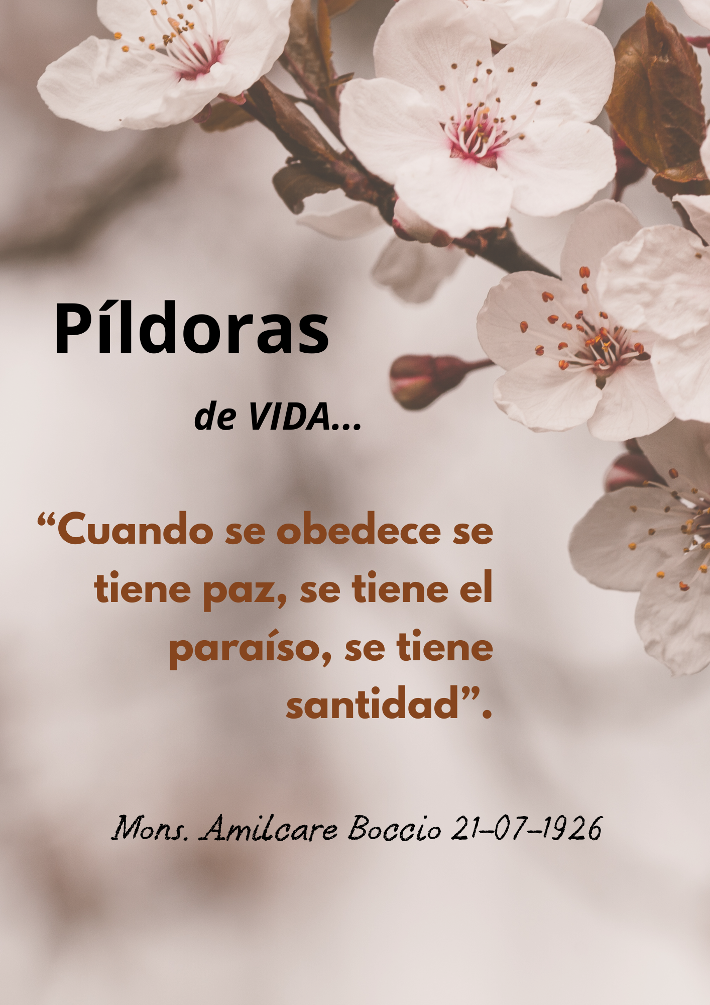 Peque�as Hijas del Sagrado Coraz�n de Jes�s